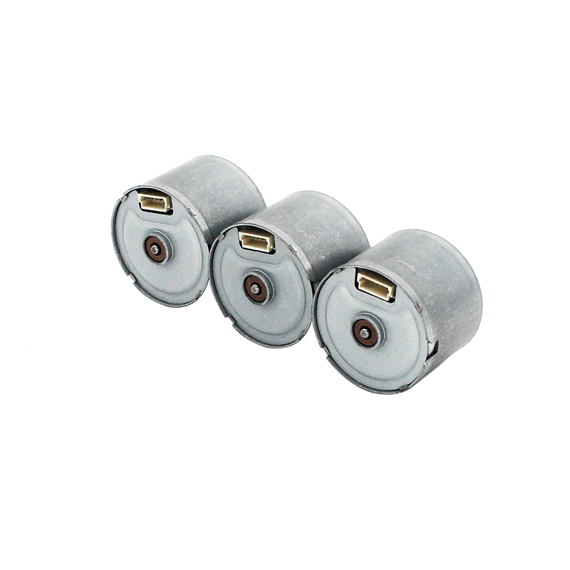 24mm Brushless Motor With Driver Inside For Hair Curler