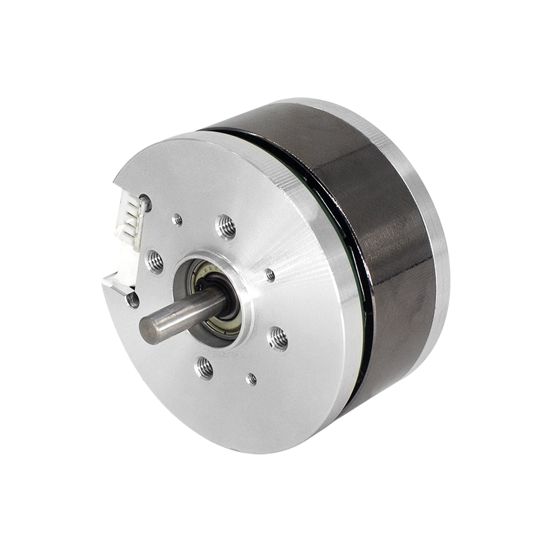 55mm Outer Rotor Brushless DC Motor For Robots