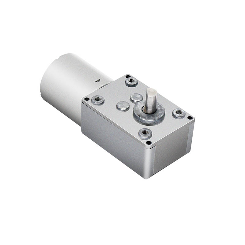 36mm Brushless DC Worm Gear Motor For Robot Joints