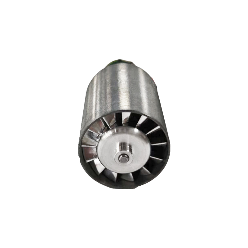 brushless motor for hair dryer products