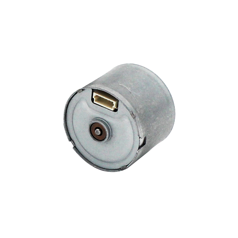 24mm Brushless Motor With Driver Inside For Hair Curler